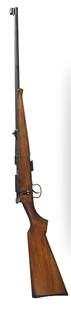 Bretton & Gaucher GRS carabine de jardin 22LR 55 cm