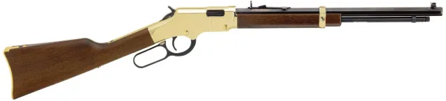 Henry Golden Boy Youth carabine 22 S/L/LR