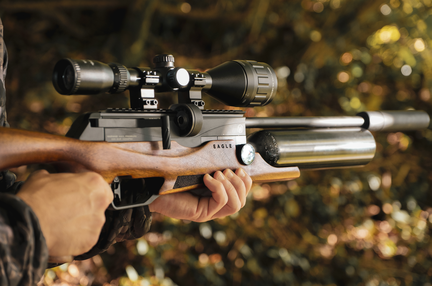 Webley Eagle carabine à plomb .177 PCP régulée